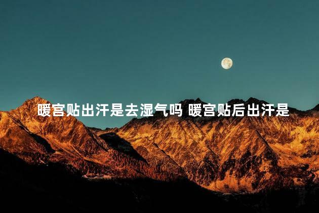 暖宫贴出汗是去湿气吗 暖宫贴后出汗是排寒吗